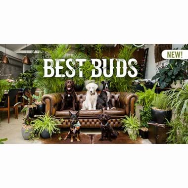 Best Buds | Plant Packages