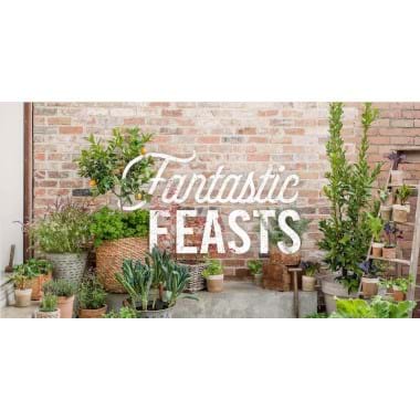 A Fantastic Feasts | Plant Packages