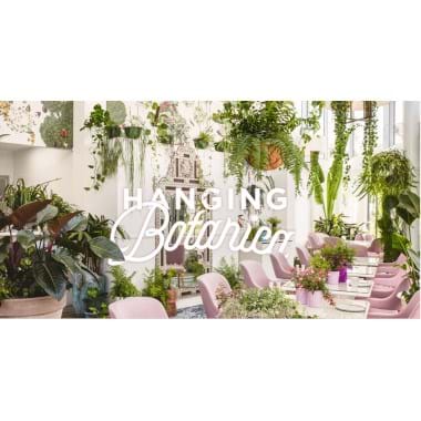 A Hanging Botanica | Plant Packages