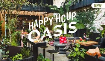 Happy Hour Oasis | Plant Package