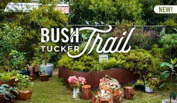 Bush Tucker Trail | Plant Package