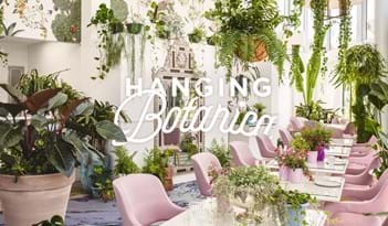 Hanging Botanica | Plant Package