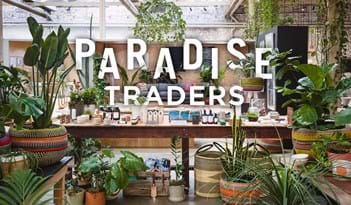 Paradise Traders | Plant Package