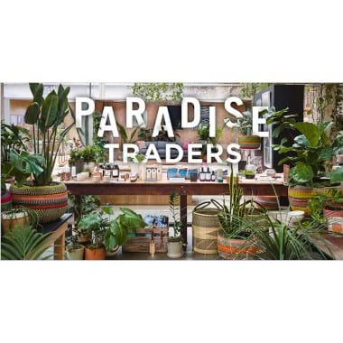 A Paradise Traders | Plant Packages