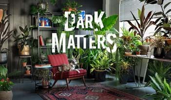 Dark Matters | Plant Package