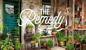 The Remedy | Plant Package