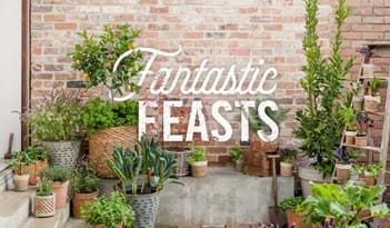 Fantastic Feasts | Plant Package