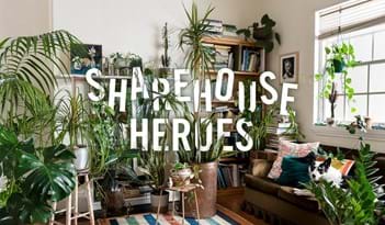 Sharehouse Heroes | Plant Package